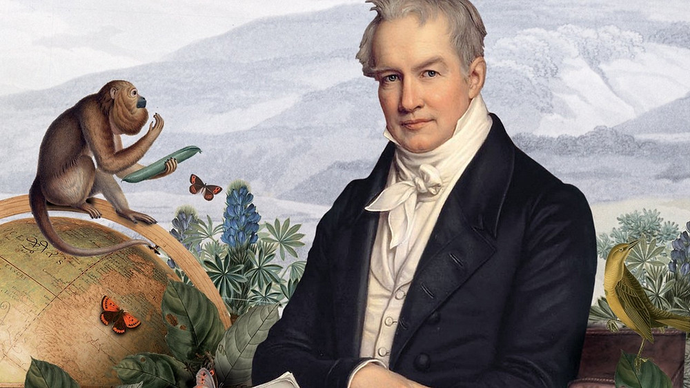 Teoria de humboldt_teoria_online