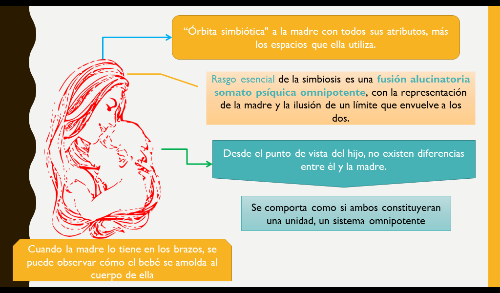 Margaret mahler teoria_teoria_online