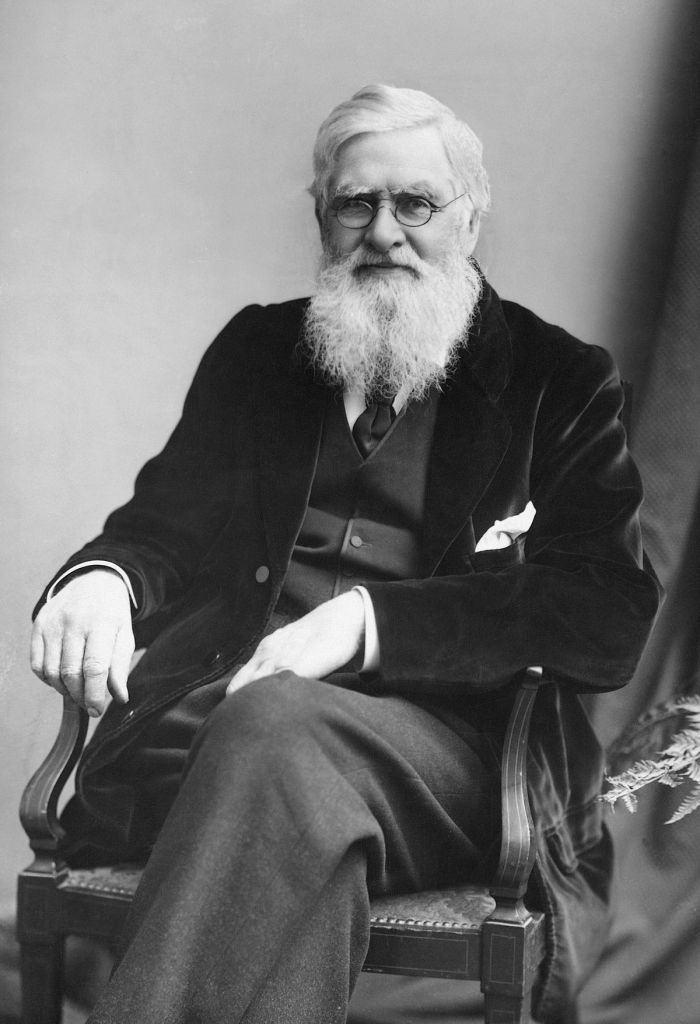 Descubre la Teoría de Alfred Russel Wallace: La otra cara de la evolución Teoria de alfred russel wallace
