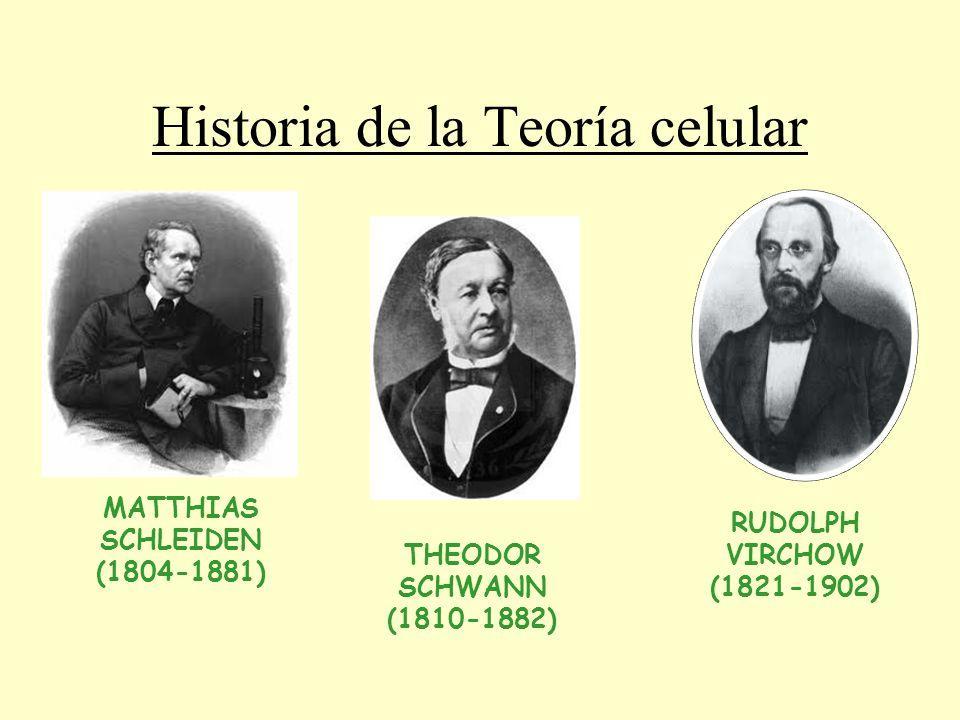 Cientificos teoria celular_teoria_online