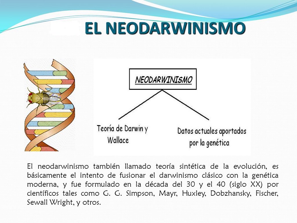 Teoria neodarwinista_teoria_online