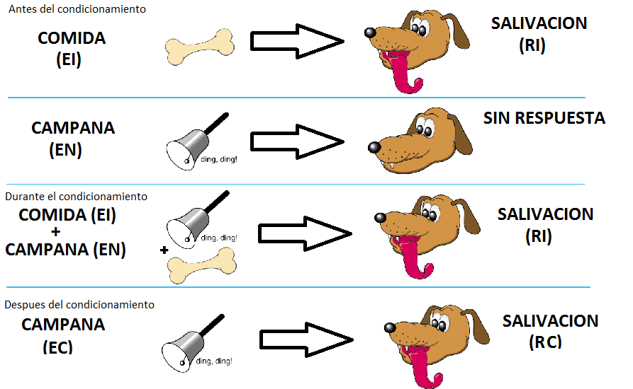 Teoria del condicionamiento sin reforzamiento_teoria_online