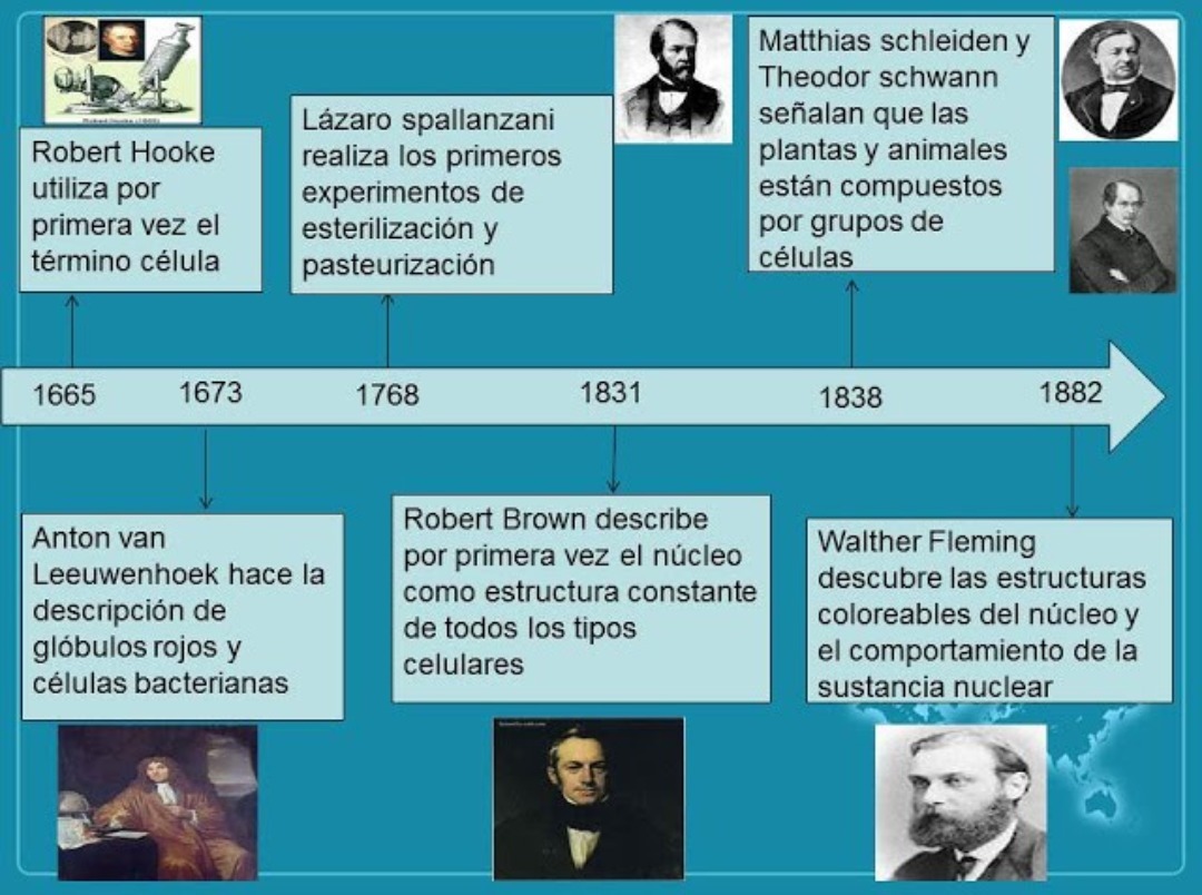 Linea del tiempo de la historia de la teoria celular_teoria_online