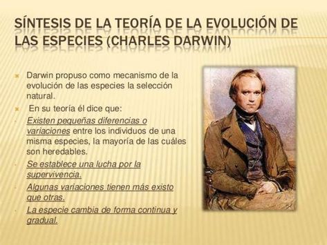 Resumen corto de la teoría de Charles Darwin: Descubre la evolución de las especies Teoria de charles darwin resumen corto
