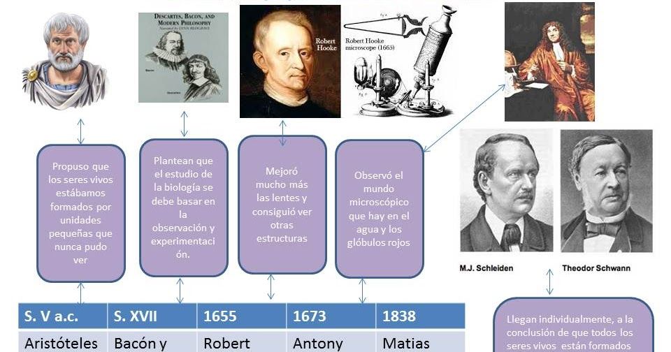 Quien propuso la teoria celular_teoria_online