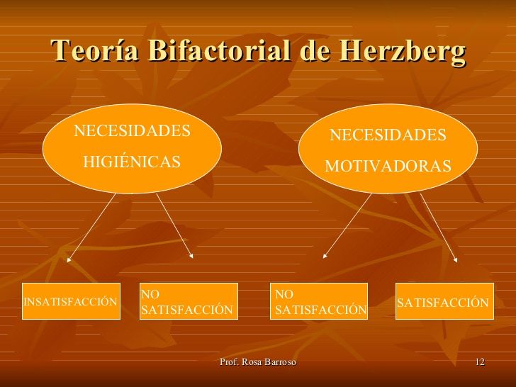 Teoria motivacional de las necesidades