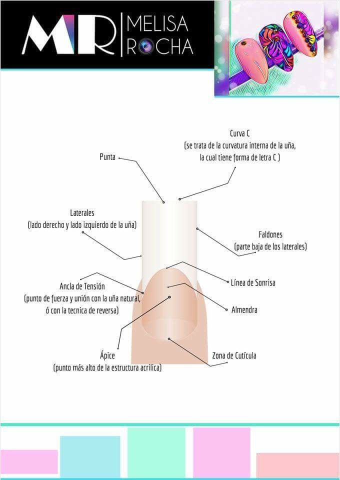 Descubre la Teoría detrás de las Uñas Blancas_teoria_online Teoria de las uñas blancas_teoria_online