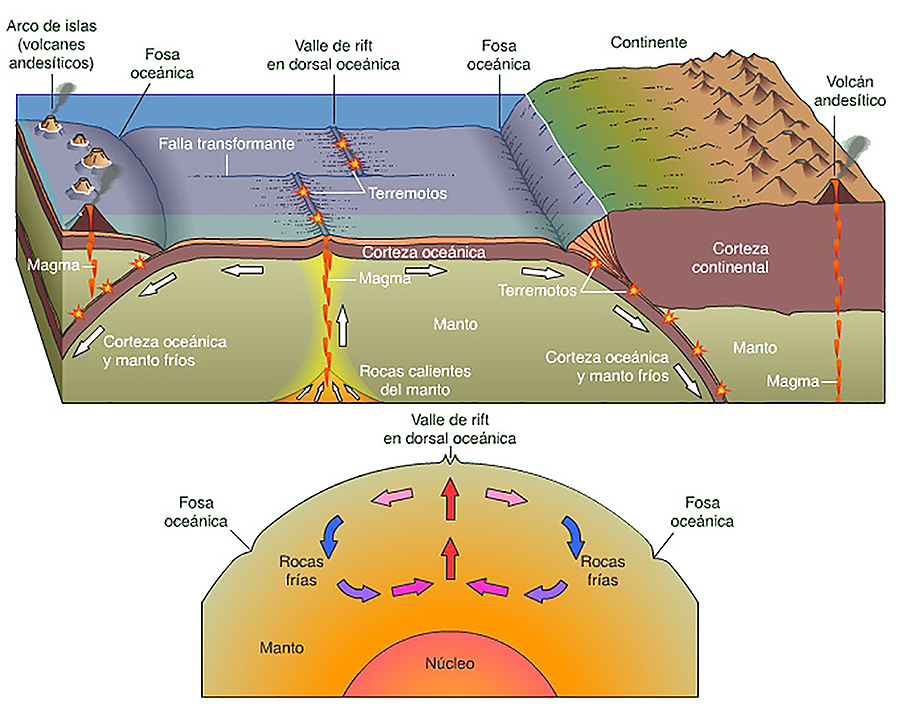 Descubre la evidencia detrás de la teoría de la tectónica de placas_teoria_online Que sostiene la teoria de la tectonica de placas_teoria_online