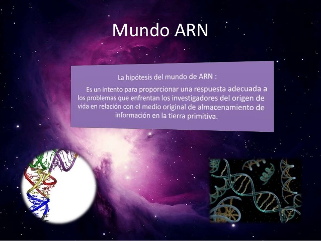 Teoria del mundo del arn