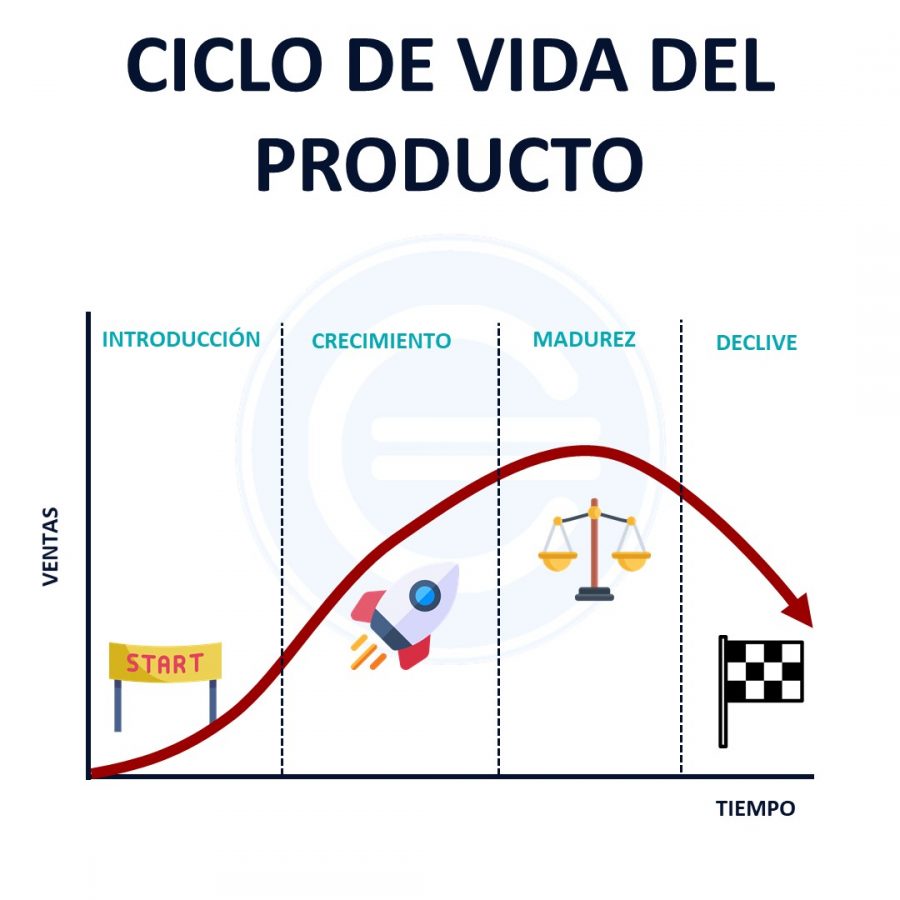 Teoria del ciclo de vida_teoria_online