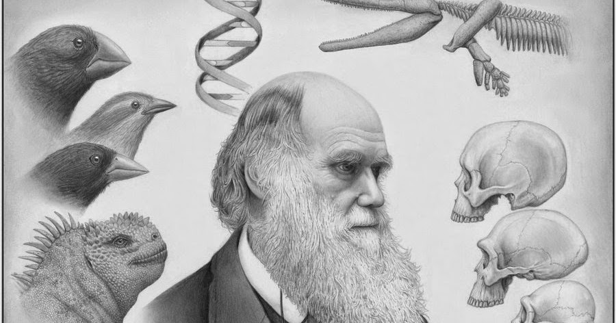 Autor de la teoria de la evolucion_teoria_online