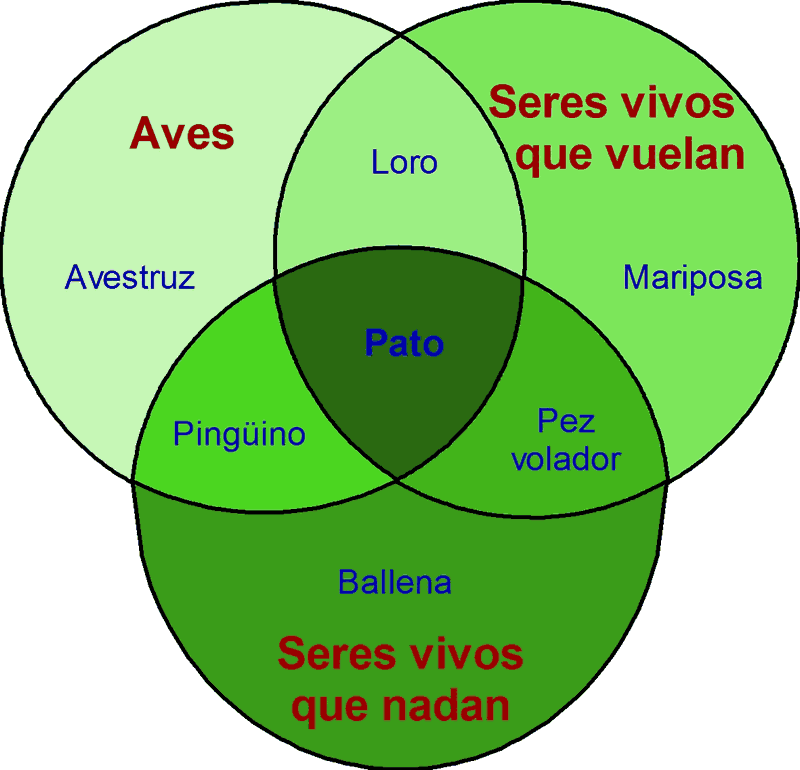 Evaluacion de teoria de conjuntos_teoria_online