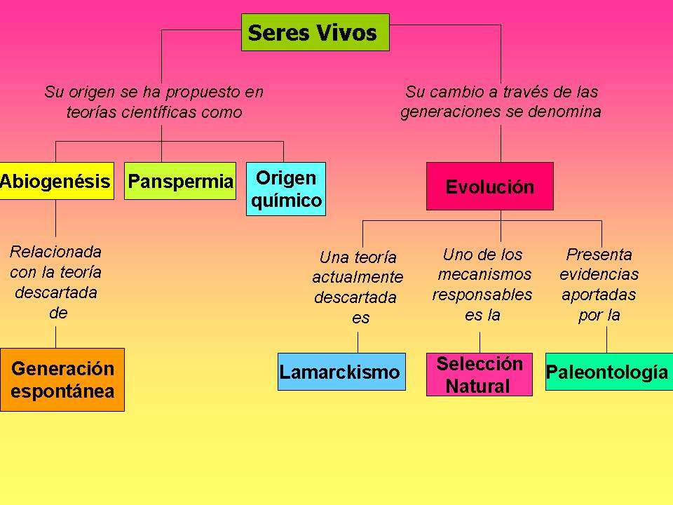 Descubre la Teoría de los Seres Vivos: La Clave para Entender la Vida Teoria de los seres vivos
