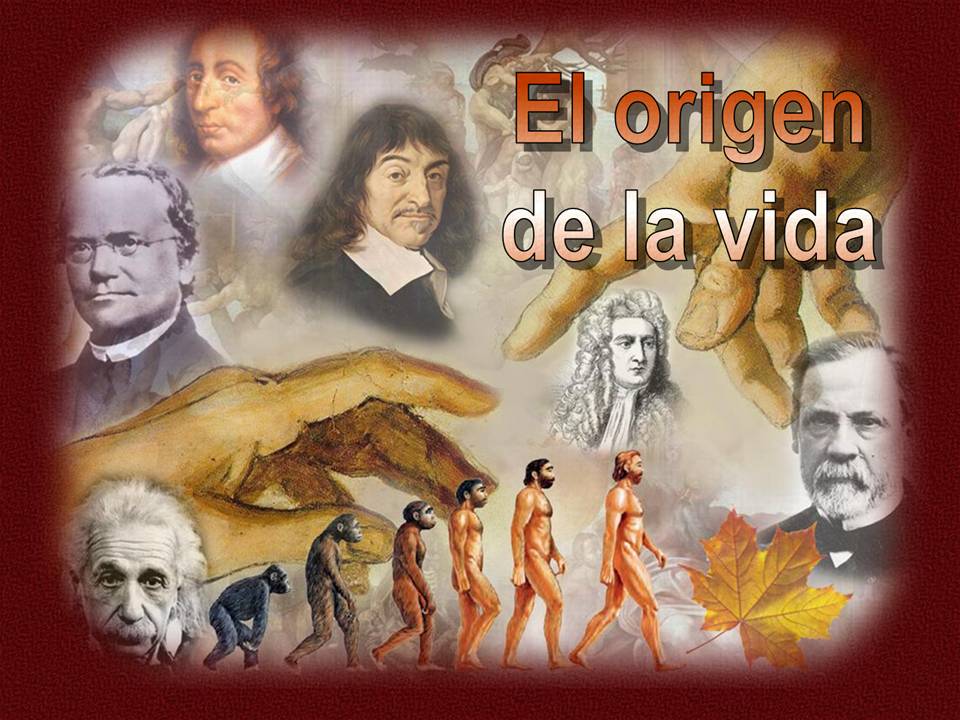 Origen de la vida: La teoría científica que lo explica todo_teoria_online Teoria del origen de la vida cientifica_teoria_online