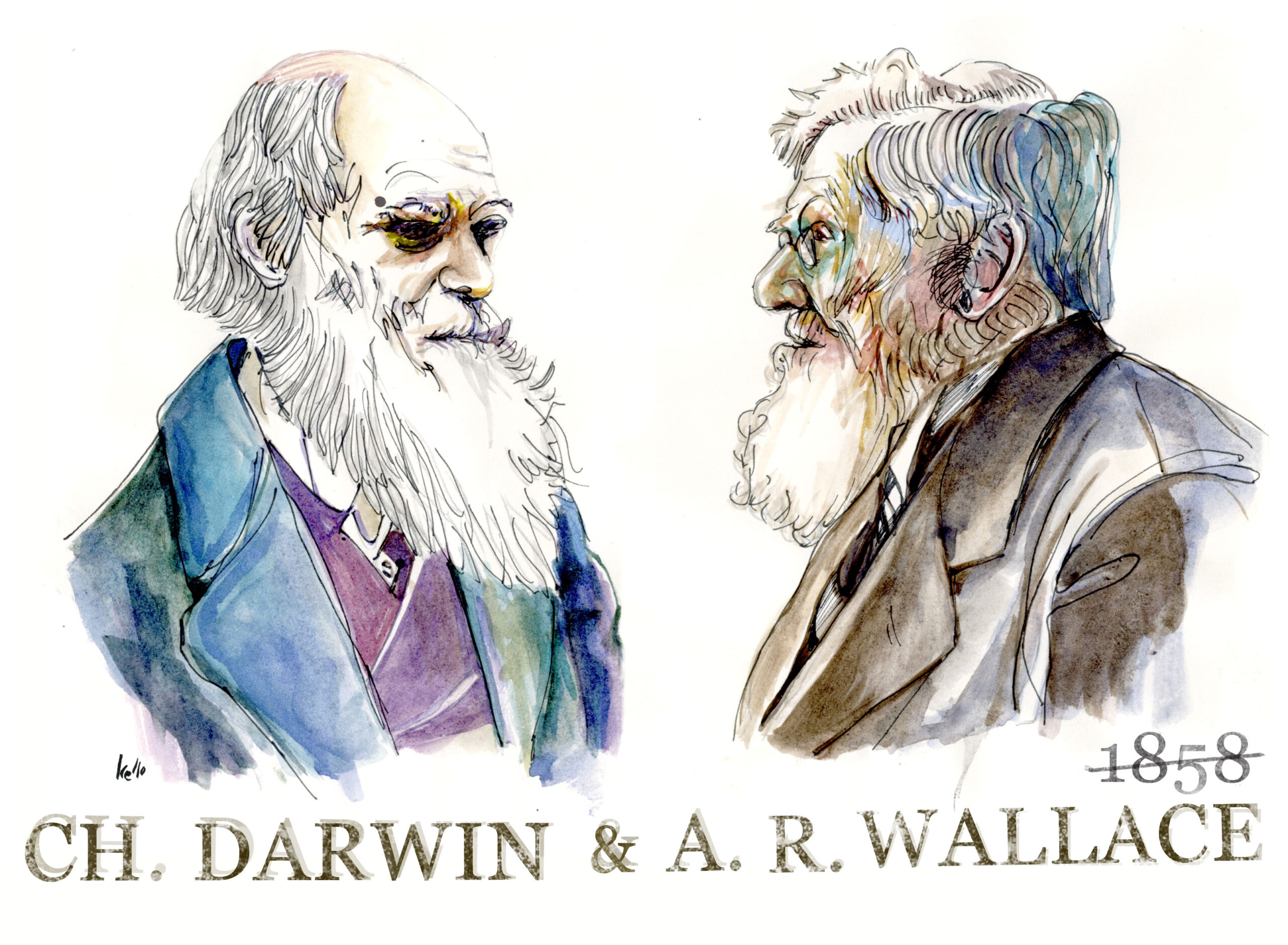 Teoria evolutiva de darwin y wallace