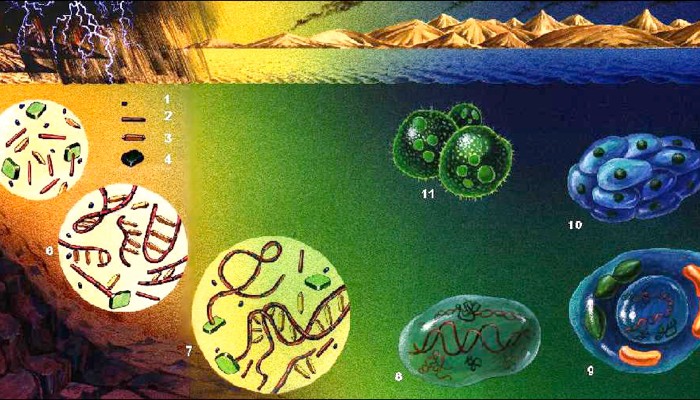 Teoria celular del origen de la vida_teoria_online