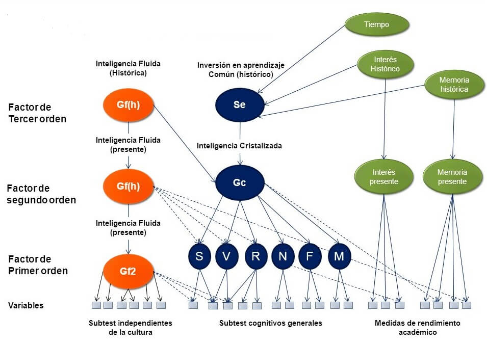 Teoria de cattell inteligencia