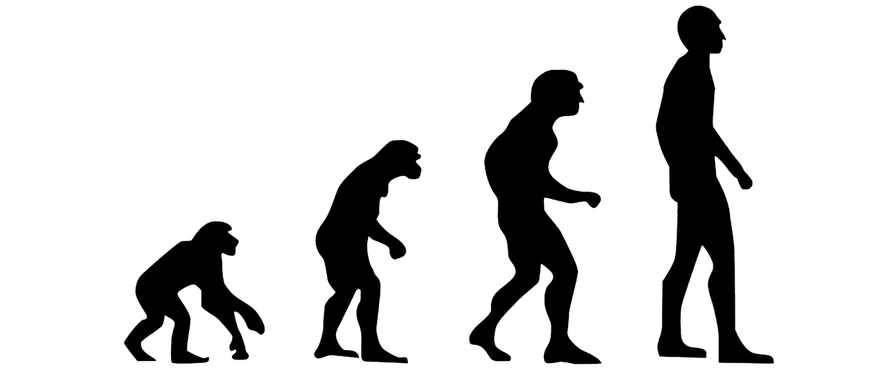 Resumen de la teoria sintetica de la evolucion_teoria_online