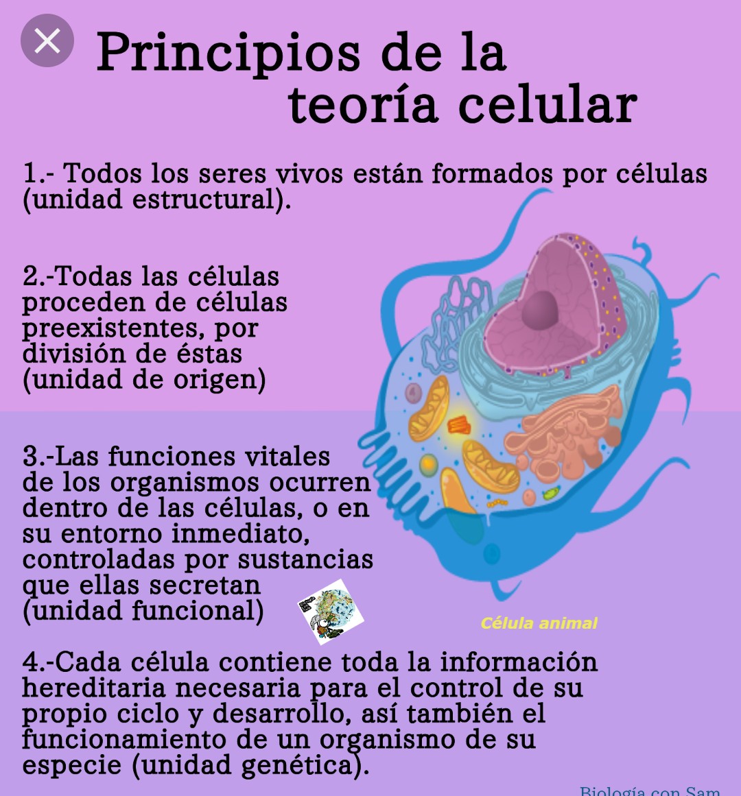 Que explica la teoria celular