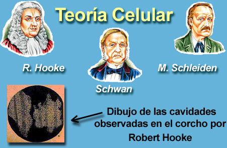 Cientificos que participaron en la teoria celular_teoria_online