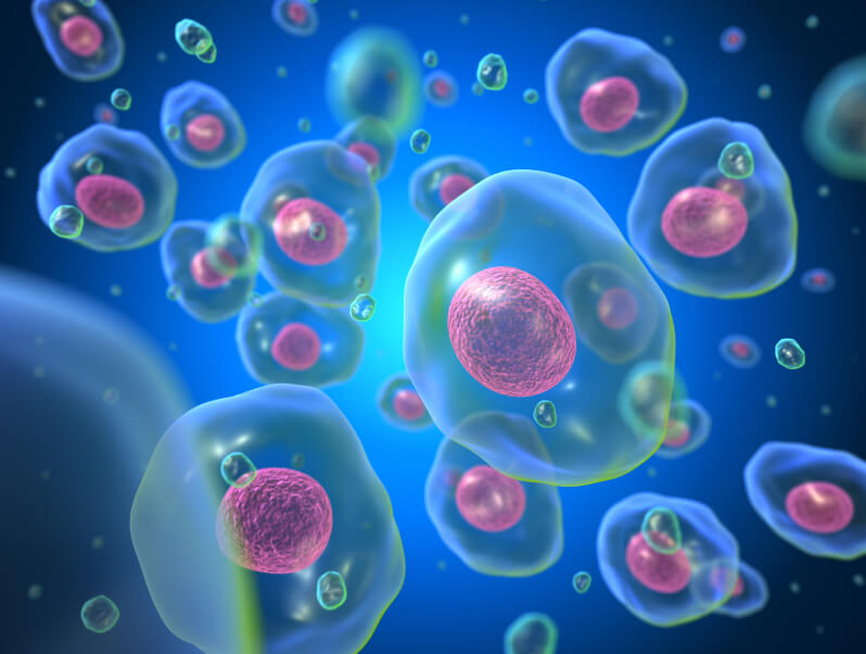 Tipos de la teoria celular