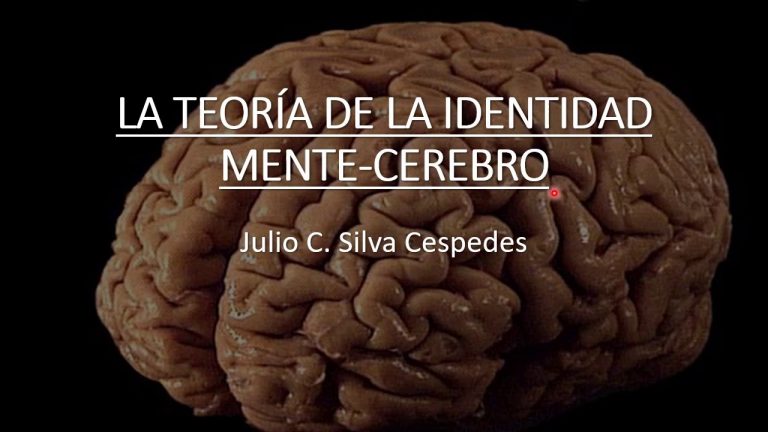 Teoria de la identidad mente cerebro