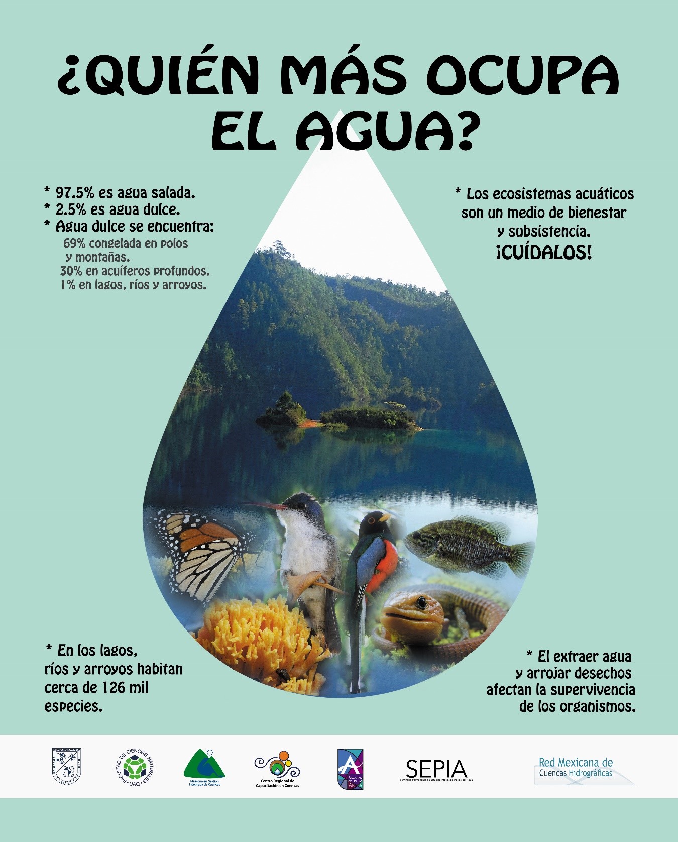 Descubre la Teoría del Agua: Todo lo que necesitas saber_teoria_online Teoria del agua_teoria_online