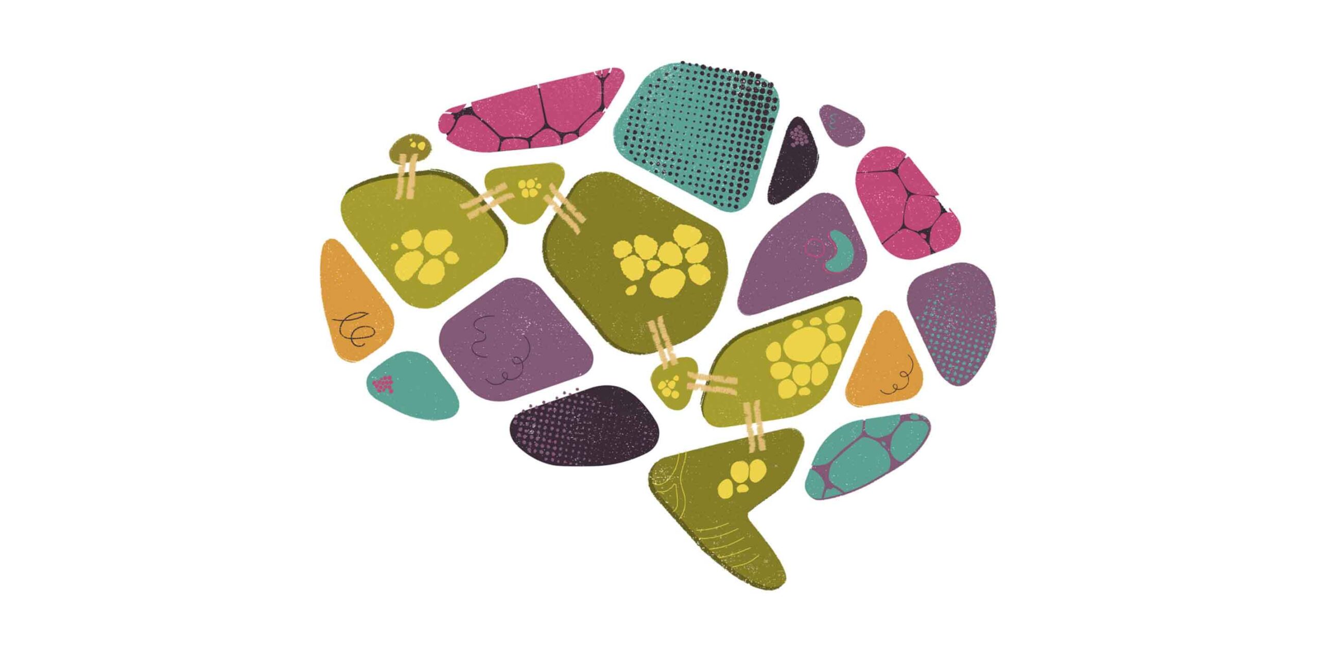 Teorías: ¿Sabes cuántos tipos existen? 14 Teorías: ¿Sabes cuántos tipos existen?