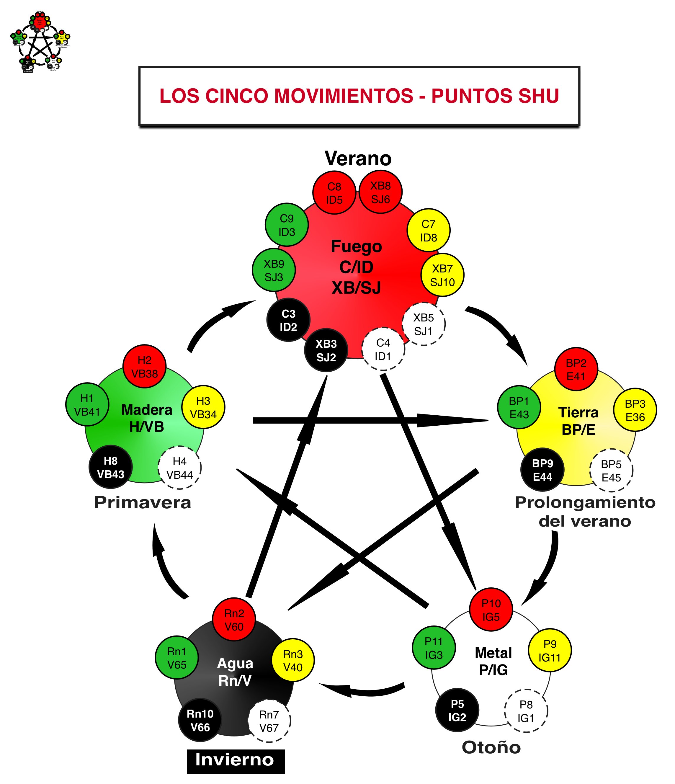 Teoria de la acupuntura