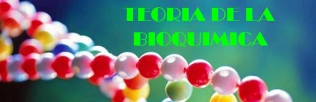 Descubre la teoría de la evolución bioquímica en detalle_teoria_online En que consiste la teoria de la evolucion bioquimica_teoria_online