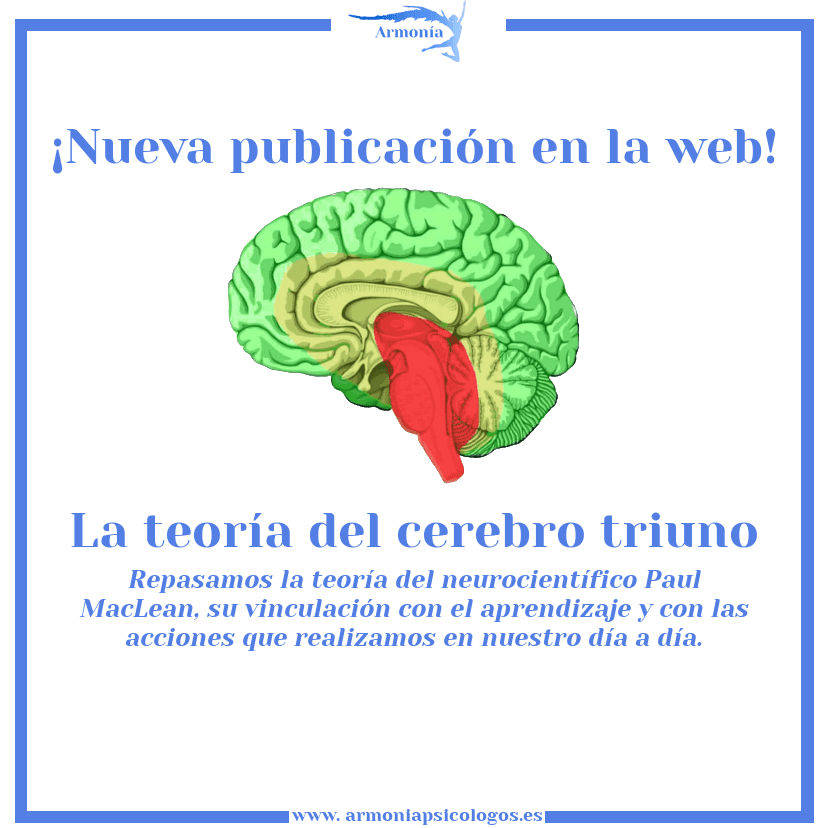 Cerebro triuno: Descubre cómo funciona tu mente_teorias Teoria del cerebro triuno_teorias