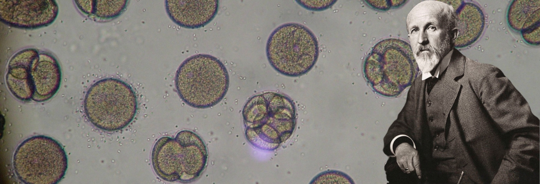 Teorías: ¿Sabes cuántos tipos existen?