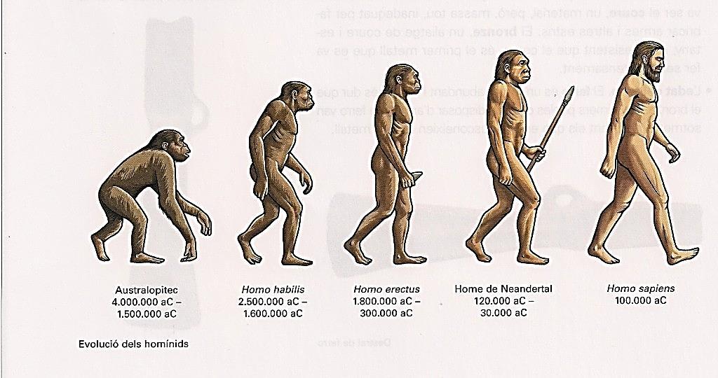 Características De La Teoría Autoctonista