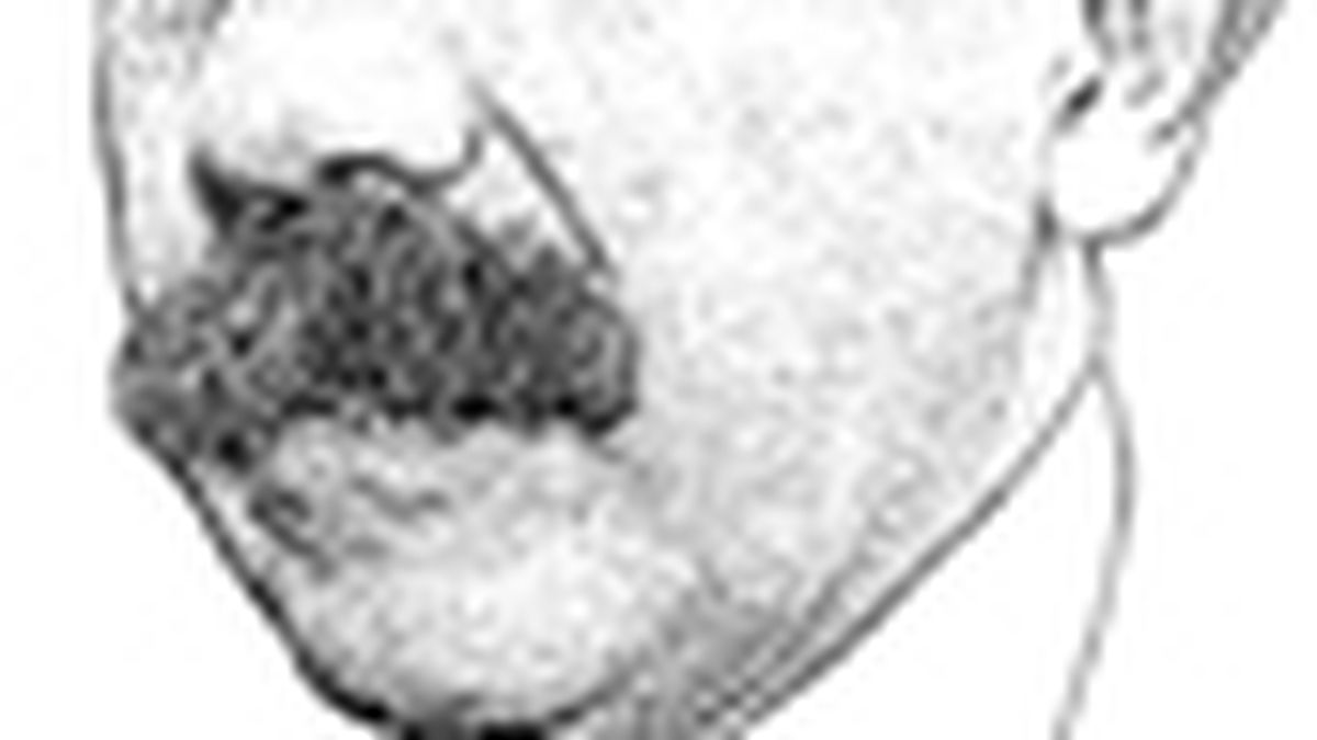 Teorías: ¿Sabes cuántos tipos existen?