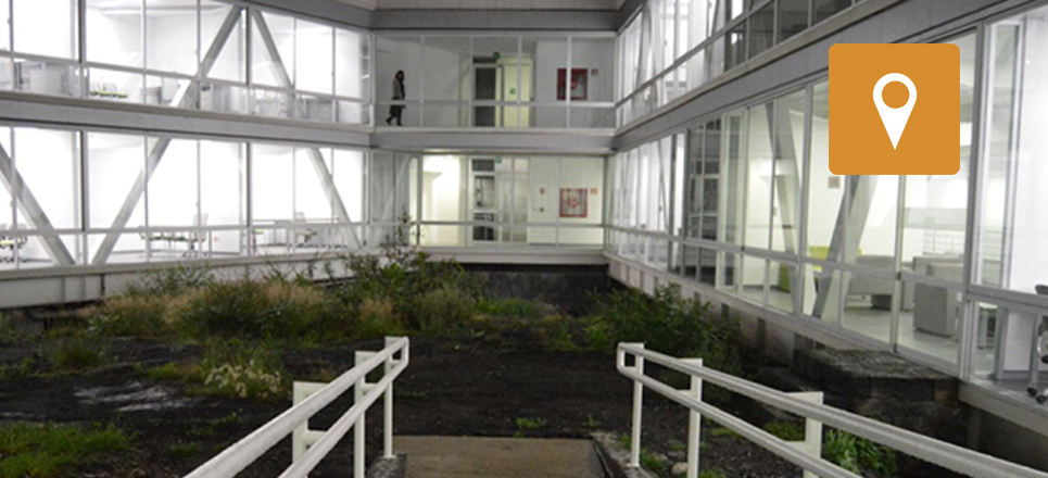 Teorías: ¿Sabes cuántos tipos existen? 18 Teorías: ¿Sabes cuántos tipos existen?