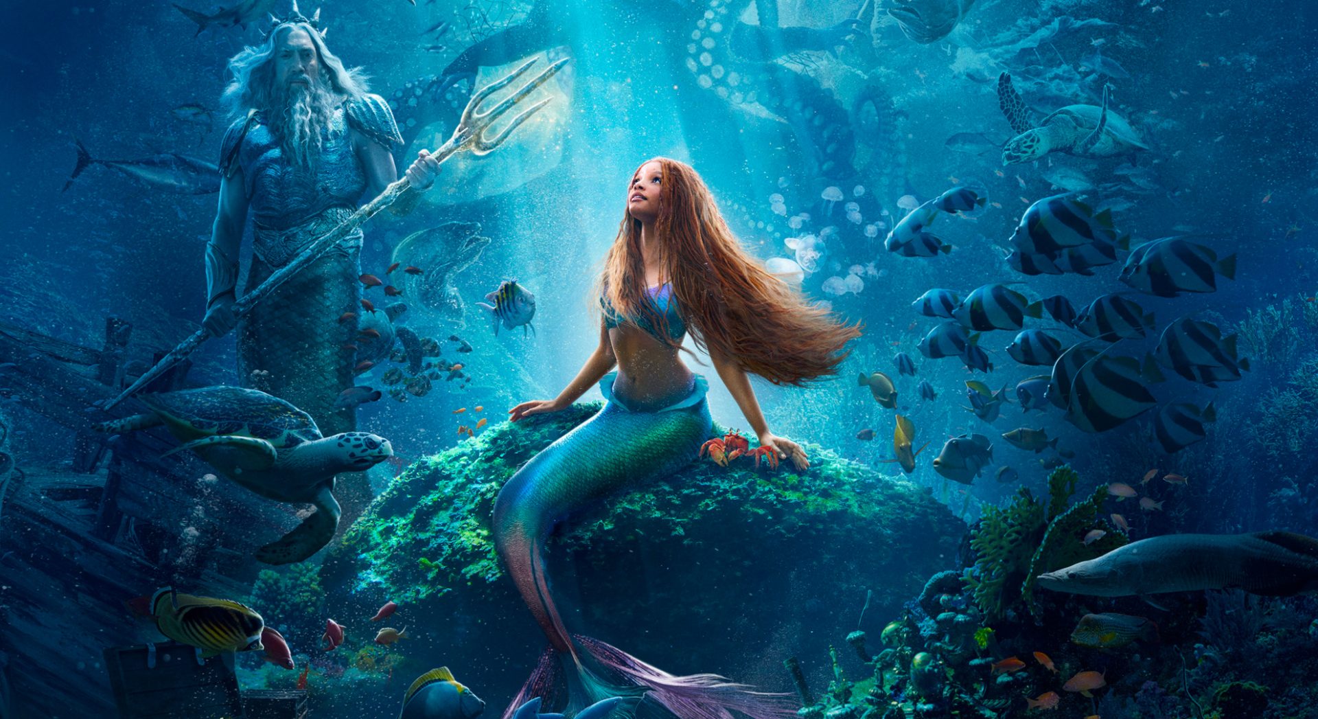 Teorías: ¿Sabes cuántos tipos existen?