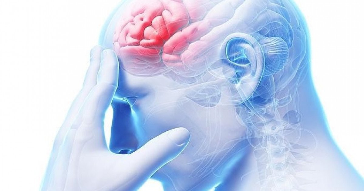 Teorías: ¿Sabes cuántos tipos existen?