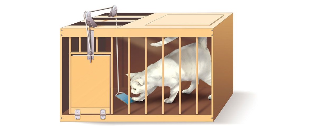 Teorías: ¿Sabes cuántos tipos existen? 20 Teorías: ¿Sabes cuántos tipos existen?