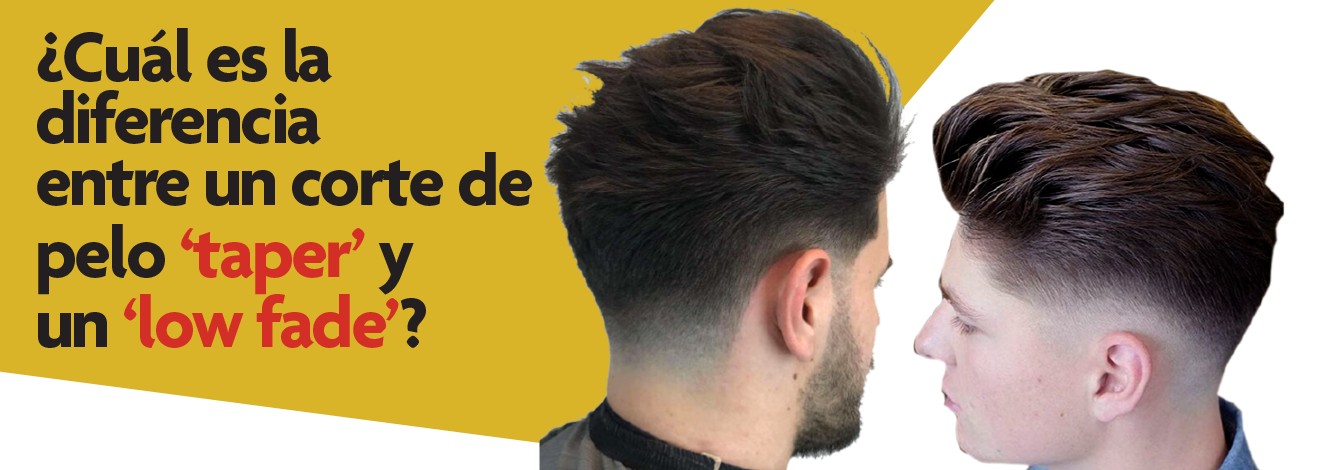Teorías: ¿Sabes cuántos tipos existen? 13 Teorías: ¿Sabes cuántos tipos existen?