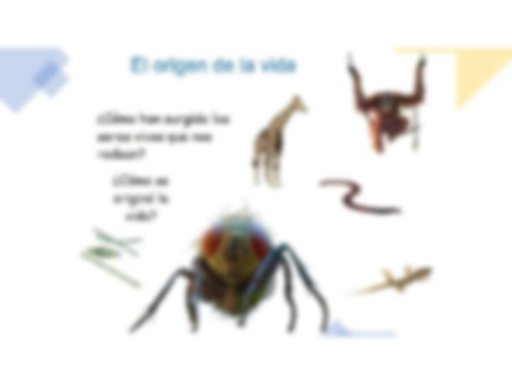 Teorías: ¿Sabes cuántos tipos existen? 3 Teorías: ¿Sabes cuántos tipos existen?