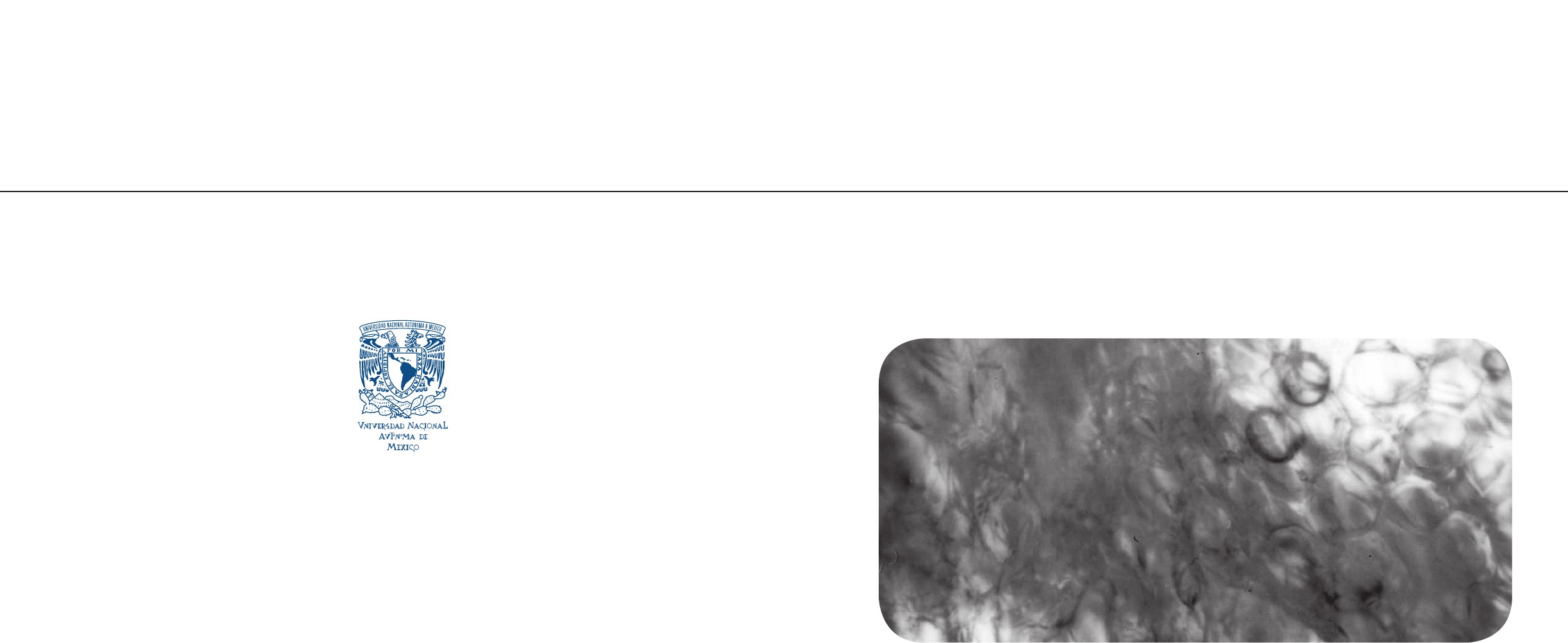 Teorías: ¿Sabes cuántos tipos existen?