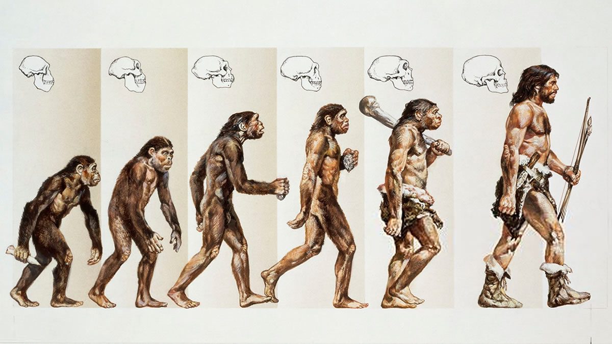 Teorías: ¿Sabes cuántos tipos existen? 9 Teorías: ¿Sabes cuántos tipos existen?