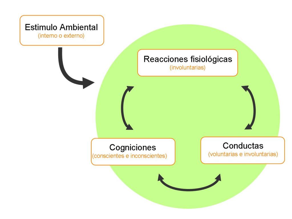 Teoria psicofisiologica_teoria_online
