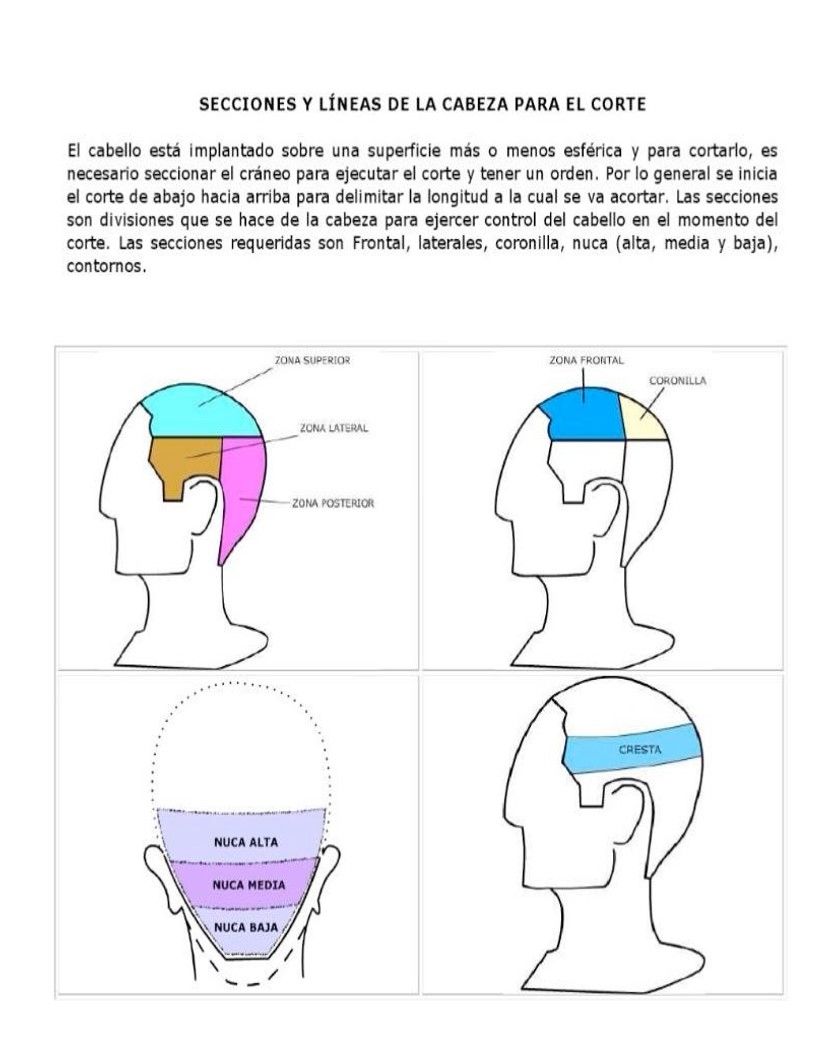Teoria corte de cabello hombre