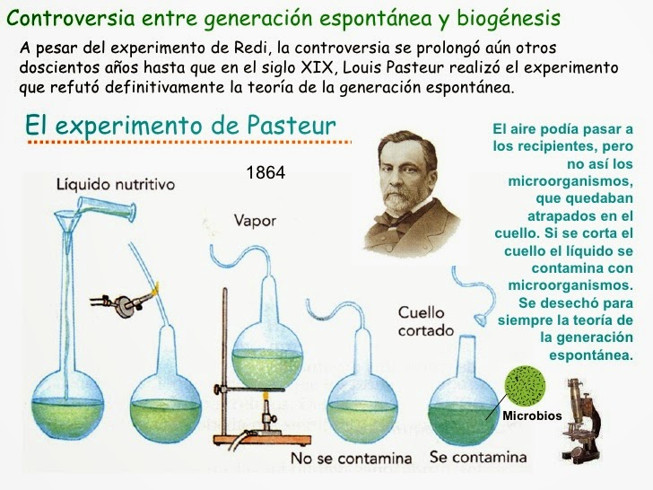 Teoria origen de los seres vivos_teoria_online
