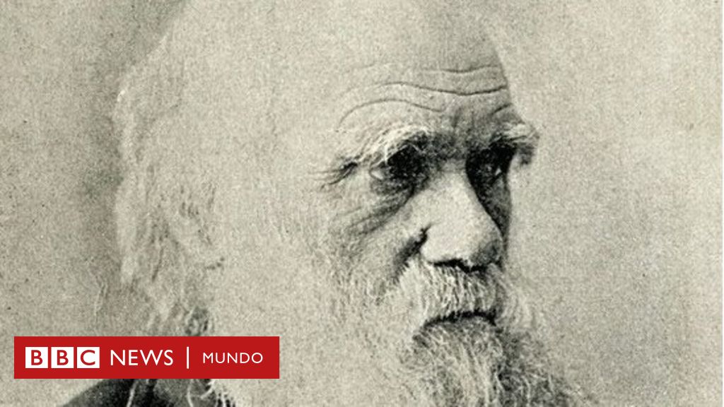Teorías: ¿Sabes cuántos tipos existen?