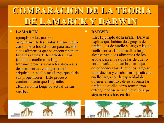Descubre las claves de la evolución: Diferencias entre la teoría de Darwin y Lamarck Diferencia teoria de darwin y lamarck