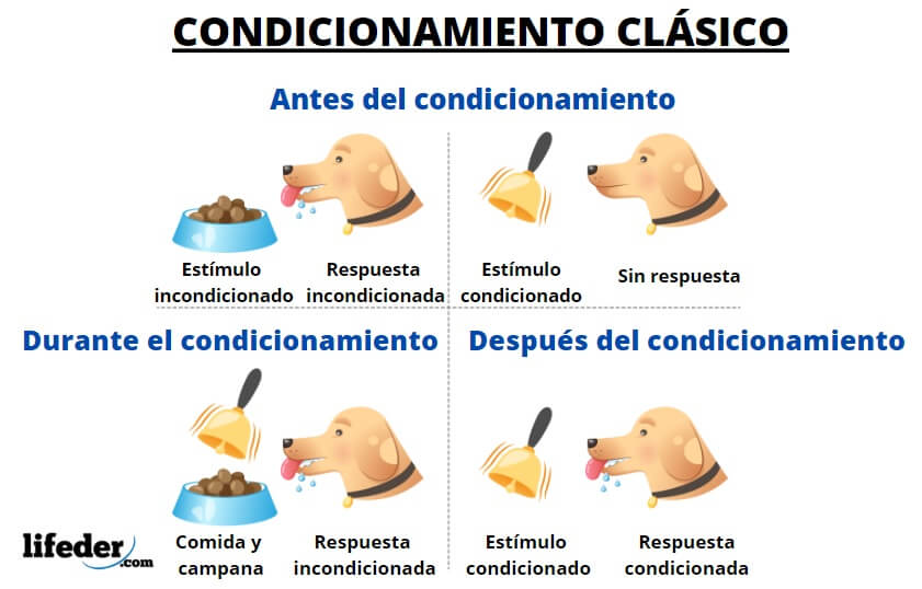 Teoria del condicionamiento_teoria_online
