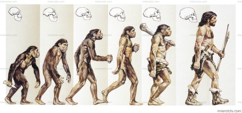 Teoria la evolucion de las especies