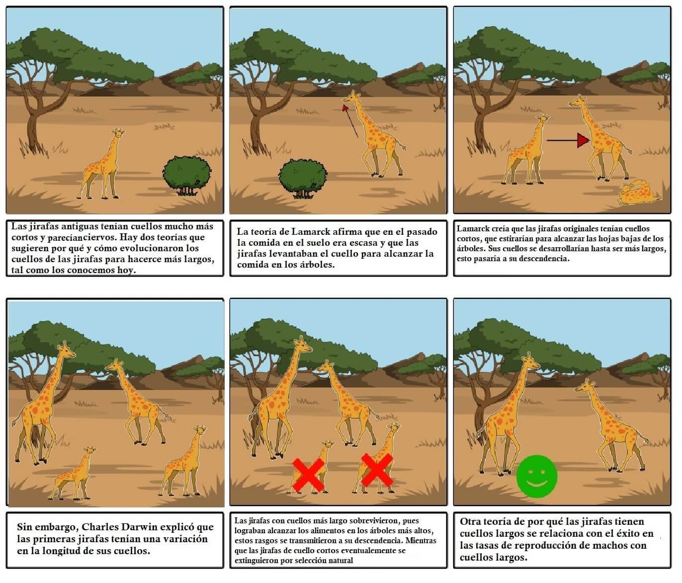 Los 5 postulados clave de la teoría de la evolución: ¡Descúbrelos aquí! Teoria de la evolucion postulados
